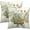 Wildflower Vase, variant on Fall Throw Pillow Covers 16x16 Set of 2, Pumpkin Sunflower Leaves Autumn Season Farmhouse Decorative Pillow Cases for Sofa Bed Couch Harvest Thanksgiving Day Outdoor Home Decor