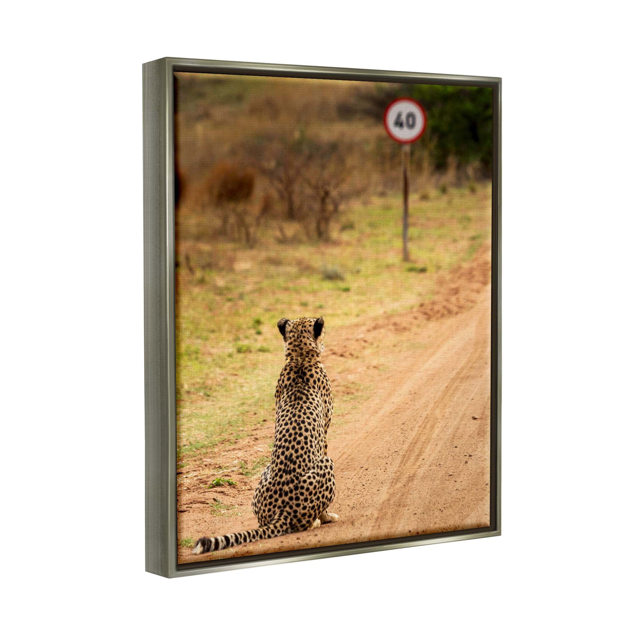 Stupell Industries Speedy Cheetah on Road Animals & Insects Photography Gray Floater Framed Canvas Art Print Wall Art, 25 x 31