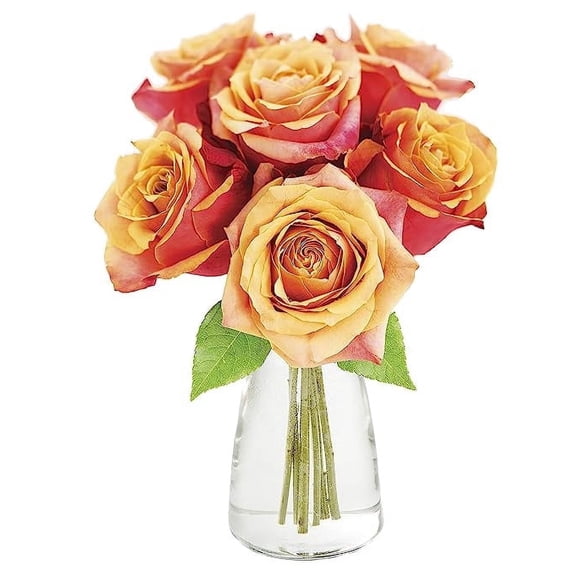 KaBloom : 6 Orange Roses with Vase, Next-Day Delivery, Gift for Every Occasion.