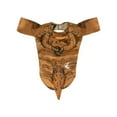 thumbnail image 2 of Jurassic World T-Rex Pet Costume for Dogs or Cats by Rubies, 2 of 6
