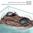 thumbnail image 4 of Plataforma para Tomar el Sol de Tortuga de Resina Forma de Corteza de Simulación Base Estable para Descanso y Escalada de Reptiles Fácil de Limpiar Múltiples Usos ANGGREK Otros, 4 of 8