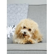 Hartz Chew ‘n Clean Drumstick Dog Chew Toy, Chicken Flavored, Nylon, Extra Small