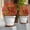 Red, variant on Artificial Rose Bushes for Outdoors,Faux Flowers with Ground Spikes,Creative Outdoor Indoor Garden Home Decoration,Multiple Colors Available for Porch Patio Wedding Party Decor 