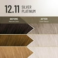 thumbnail image 3 of Il Salone Milano Plex Rebuilder Permanent Hair Color Kit - 12.11 Silver Platinum, 3 of 11