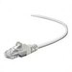 Belkin patch cable - 25 ft