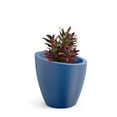 thumbnail image 3 of Mayne Modesto 20" x 20" x 20" Round Neptune Blue Plastic Planter, 3 of 11
