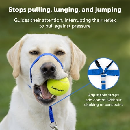 PetSafe（ペットセーフ） ジェントルリーダー 引っ張り防止 ヘッドカラー 犬用 散歩トレーニング【フォーン（ベージュ） Mサイズ】
