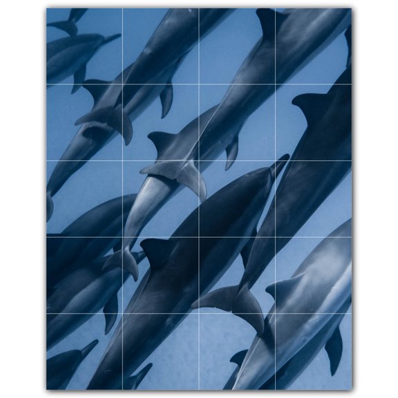 Picture-Tiles.com: Dolphin Ceramic Tile Wall Mural WAL500508-45M. 24"W x 30"H using (20) 6" x 6" Ceramic Tiles-Satin Finish