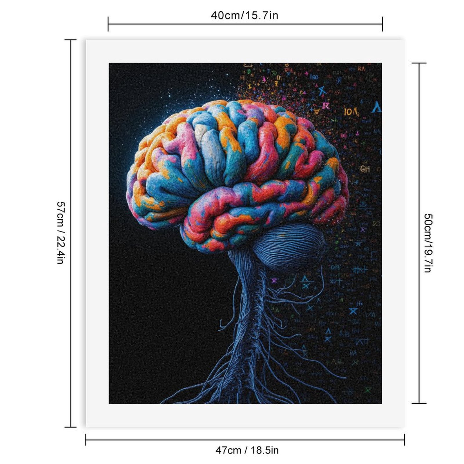 Paint By Numbers Kit for Adults Beginner - Colorful Brain Anatomy Art Illustration DIY Canvas Painting Kits for Adults, Frameless Paint By Number for Adults for Home Wall Decor 16x20 Inch