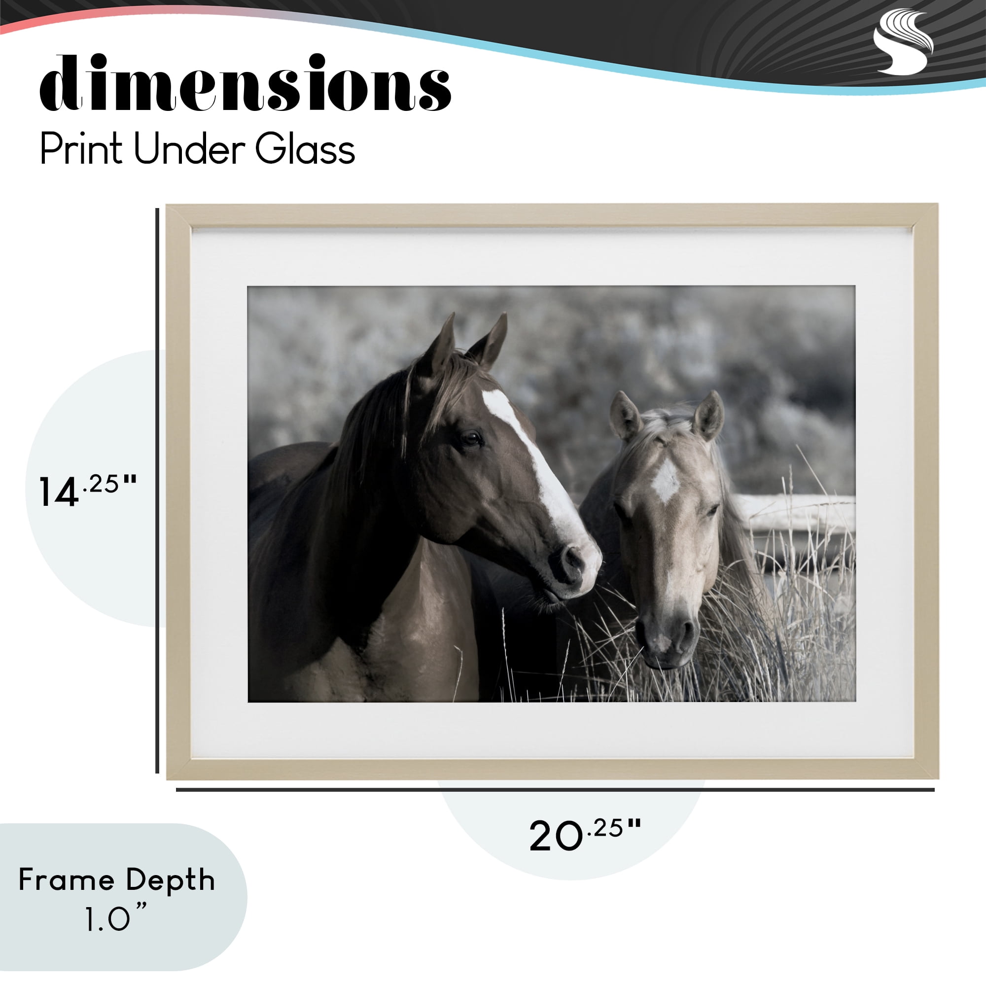 Stupell Industries Content Horses In Pasture Birch Framed Print Under Glass, design by Danita Delimont