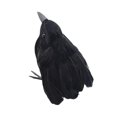 thumbnail image 3 of Decoración de cuervos de Halloween, cuervos con plumas negras, decoración realista de Halloween, pájaros hechos a mano para adorno decorativo de jardí Estilo C Macarena Cuervo negro, 3 of 8