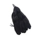 thumbnail image 3 of Decoración de cuervos de Halloween Decoración de Halloween Pájaros Cuervos artificiales Decoración para Estilo C, 3 of 9