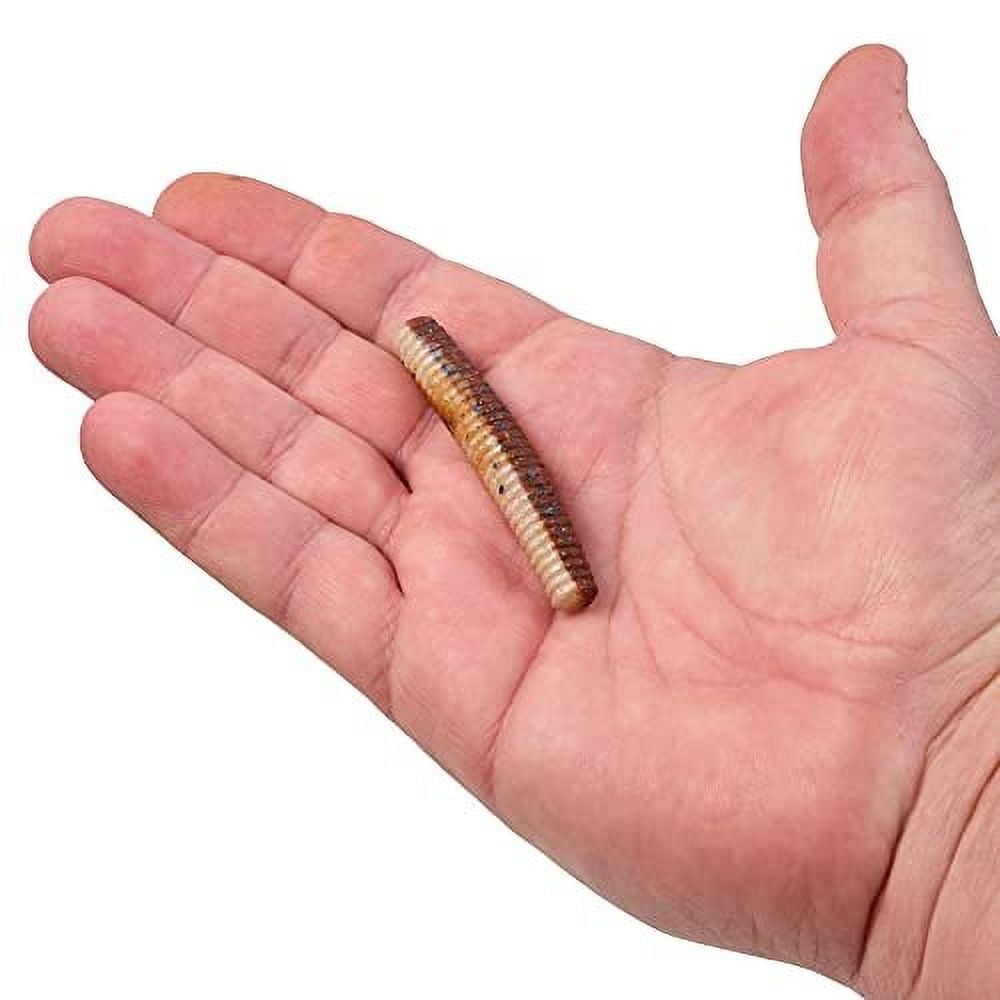 Berkley PowerBait® MaxScent Lil' General Fishing Soft Bait 2 3/4in | 6.9cm Rusty Craw