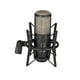 thumbnail image 4 of AKG Micrófono de condensador vocal, XLR, negro, 6,00 x 8,00 x 12,00 (3101H00420), 4 of 5