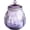 C-21oz, variant on Vintage Relief Crystal Glass Candy Dish Snack Jar with Seal Lid,Wedding Candy Jar