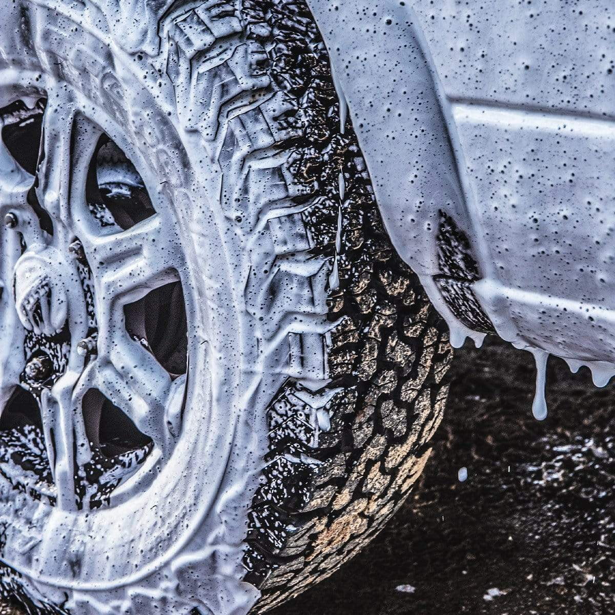 Wash & Wax + Foam Gun Bundle