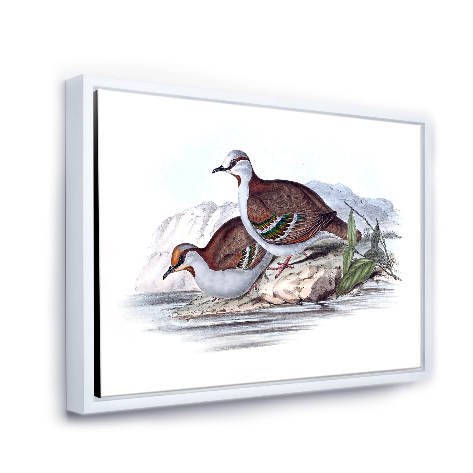 Designart 'Ancient Australian Birds IX' Traditional Framed Canvas Wall Art Print