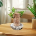 thumbnail image 1 of Fwttom Decorative Bowl, Ruffled Decorative Bowl Living Room Coffee Table Bookshelf and Console Table Home Decoration, 1 of 3