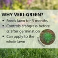 Jonathan Green VeriGreen Crabgrass Preventer, Lawn Fertilizer, 15,000