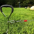 View all media