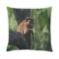 thumbnail image 2 of Ahgly Company Coussin d'Intérieur Animaux Singe, 18 Pouces par 18 Pouces, 2 of 6