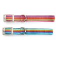 thumbnail image 4 of Zack & Zoey Nylon Brite Stripe Dog Collar, 18 to 22-Inch, Bluebird, 4 of 5