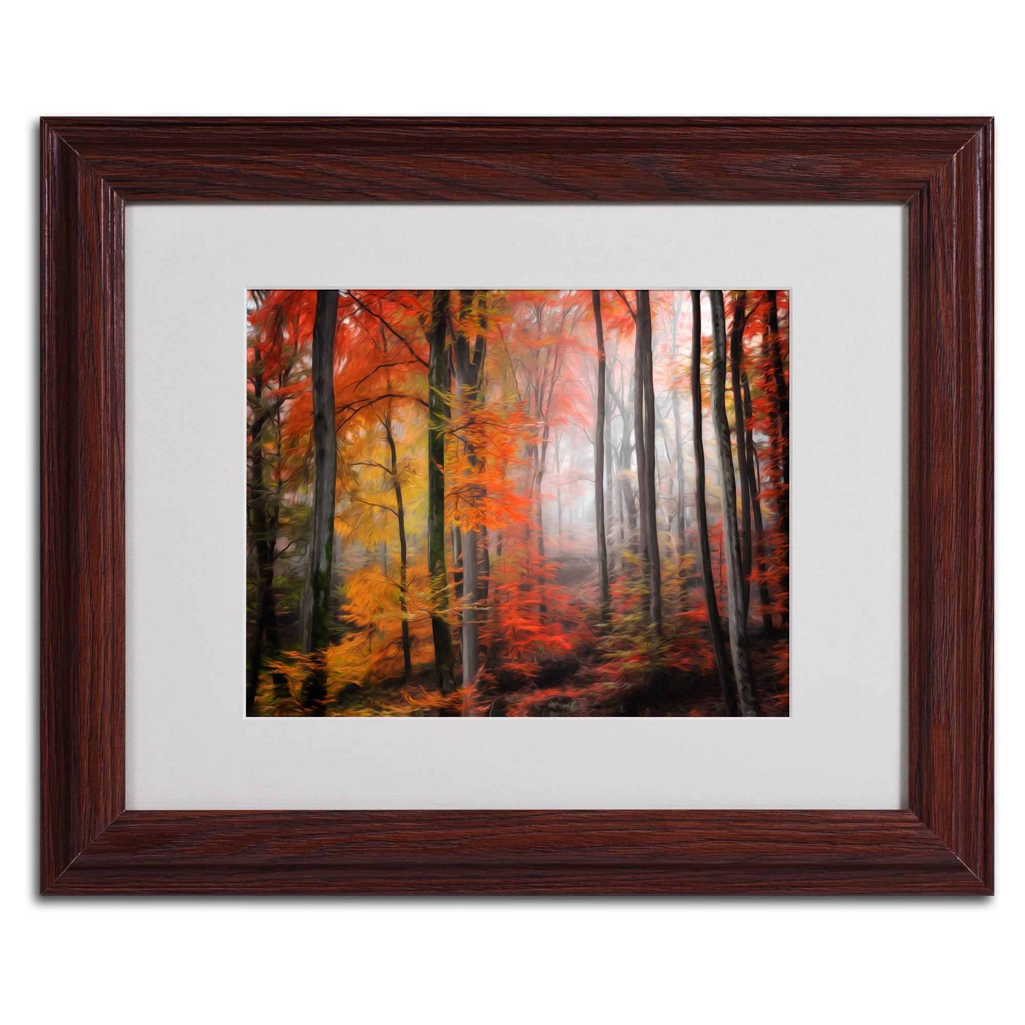 Trademark Fine Art "Wildly Red" Canvas Art by Philippe Sainte-Laudy, Wood Frame