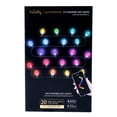 Lumations Twinkly AppControlled C12 Faceted LED Lights,15.8', 20 Count