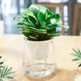 thumbnail image 4 of Travelwant 2Packs Garden Self Watering Plastic Plant Pot, Pretty Transparent Look- Time-Saving Functional Plant Pot - African Violets, Orchid, Flower Pot Container, 4 of 7