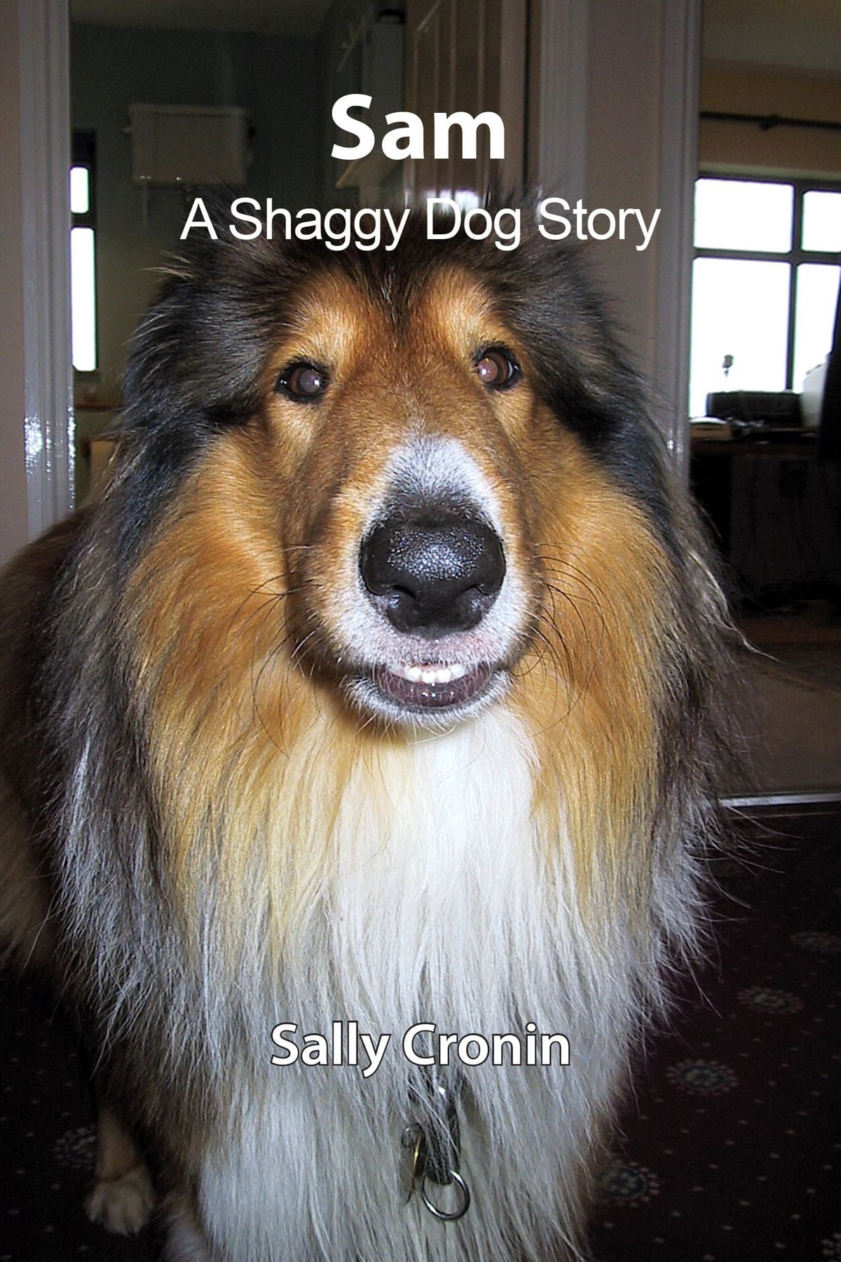 Sam, A Shaggy Dog Story eBook