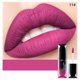 thumbnail image 3 of Pudaier 21 Colors Lipstick Matte Cosmetic Waterproof Long Lasting Pigment Velvet lip stick Brand Sexy Lip Matte Nude Lip stick, 3 of 5