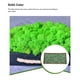thumbnail image 4 of Yuarrent Musgo Artificial de flores preservadas, Color sólido sintético, reemplazo de bricolaje de larga duración, liquen de césped, accesorio de Plantas Artificiales Verde claro Yuarrent HA084267-03, 4 of 6