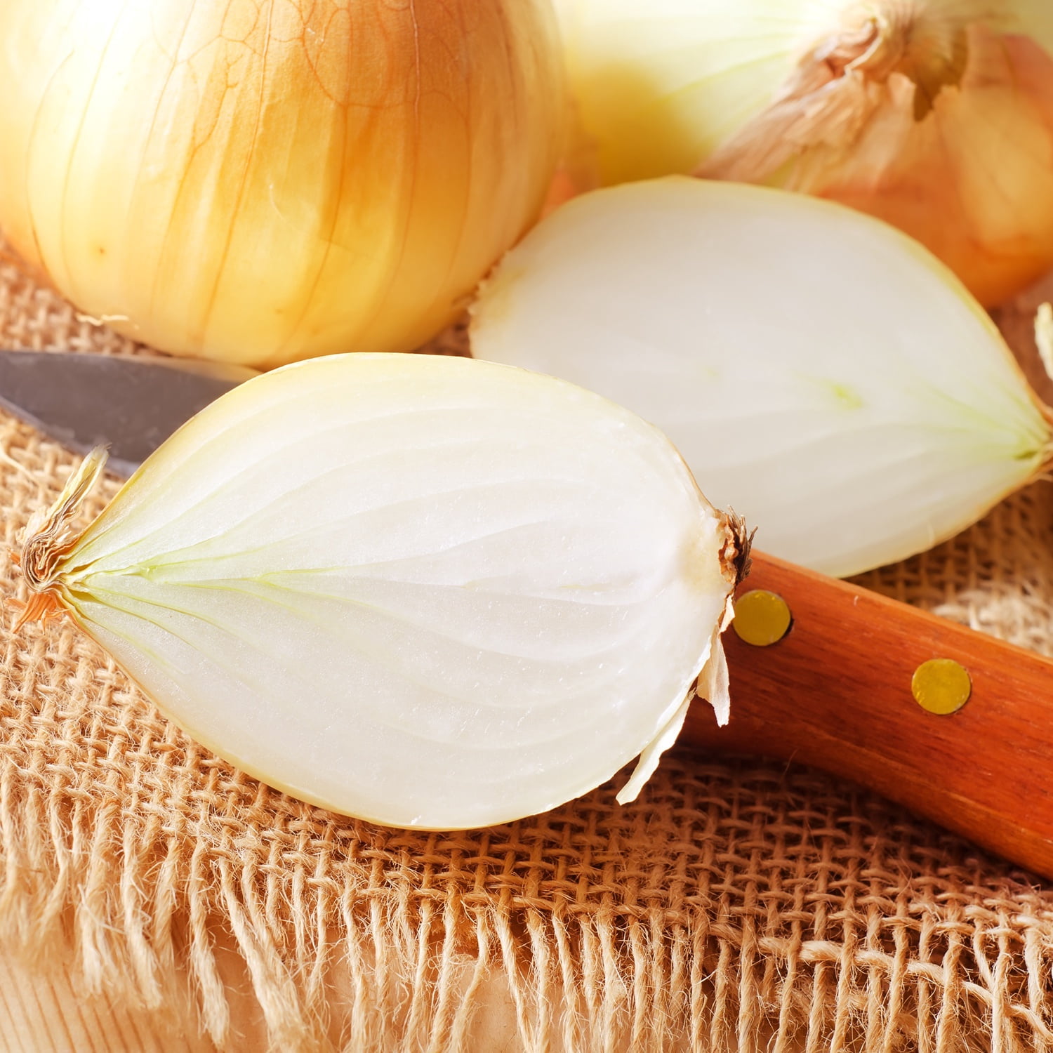 Van Zyverden Onion Sets Yellow Set of 250 Bulbs, White, Full Sun , Perennial