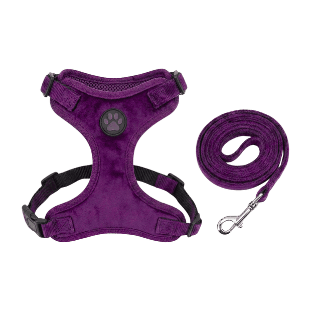 pechera para perro xs con correa ajustable – cómoda y segura para cachorros morada; vista frontal centrada de pechera XS ergonómica y acolchada con tejido transpirable, hebillas de cierre rápido y ajuste en pecho (29–42 cm) y espalda (35–52 cm); correa incluida 1.5 cm x 1.20 m con gancho metálico; suele usarse para paseos urbanos y entrenamientos ligeros.