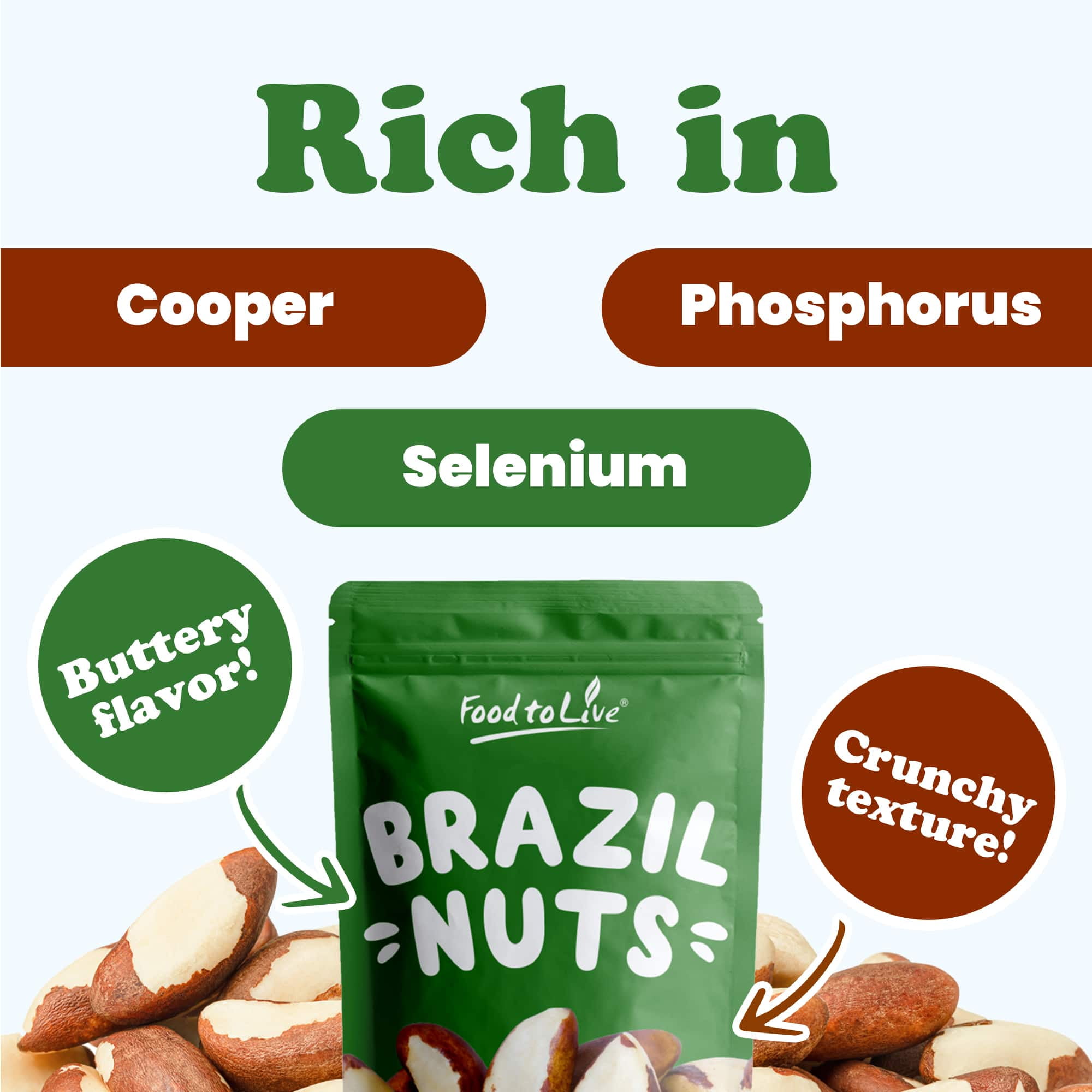 Food to Live, Brazil Nuts, 1 Pound, Non-GMO, Raw