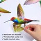 thumbnail image 2 of Hummingbird Window Stickers, Anti-collision Window Stickers To Prevent Bird Strikes On Windows, 2 of 3