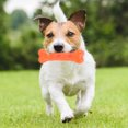 thumbnail image 4 of VGEBY Pet Chew Stick, Teeth Stick Toy Pet Toy For Entertaining For Training, 4 of 8