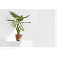 thumbnail image 3 of Ecopots Oslo Mini Durable Modern Round Indoor/Outdoor Recycled Based Composite Flower Pot Planter, Terracotta Color, 6", 3 of 4