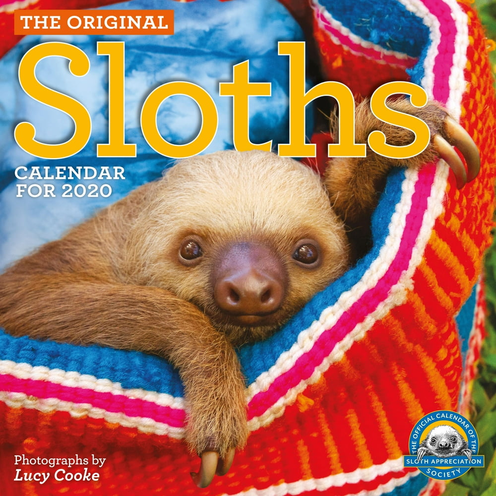 Original Sloths Wall Calendar 2020 (Other)