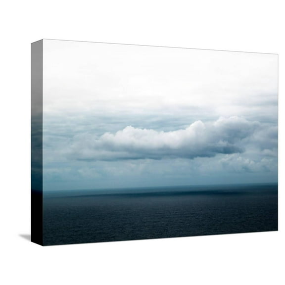 Art.com Bishop 3 Stretched Canvas Print Wall Art by Design Fabrikken, 16" x 12"