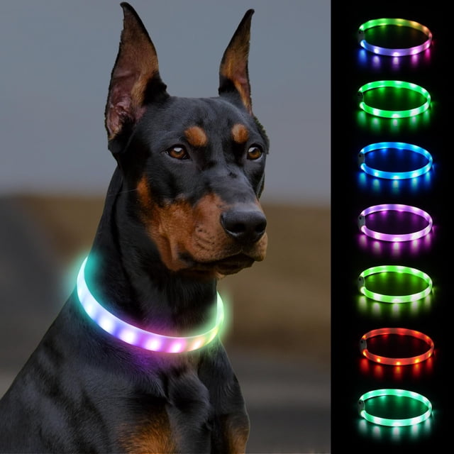 Collar LED para perros Joytale Light Up, resistente a la lluvia, recargable