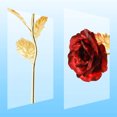 thumbnail image 3 of Gold Dipped Rose,Real Long Stem Eternity Rose Flower Best for Her, Mom, Wife, Girlfriend, Anniversary, Mothers Day, Birthday, Valentine's, Wedding - Red, 3 of 8