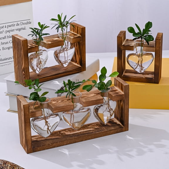 Dserhfy Plants Propagation Station with Wooden Stand Indoor Plant Terrarium Hydroponic Flower Holder Container Decoration Table Centerpiece