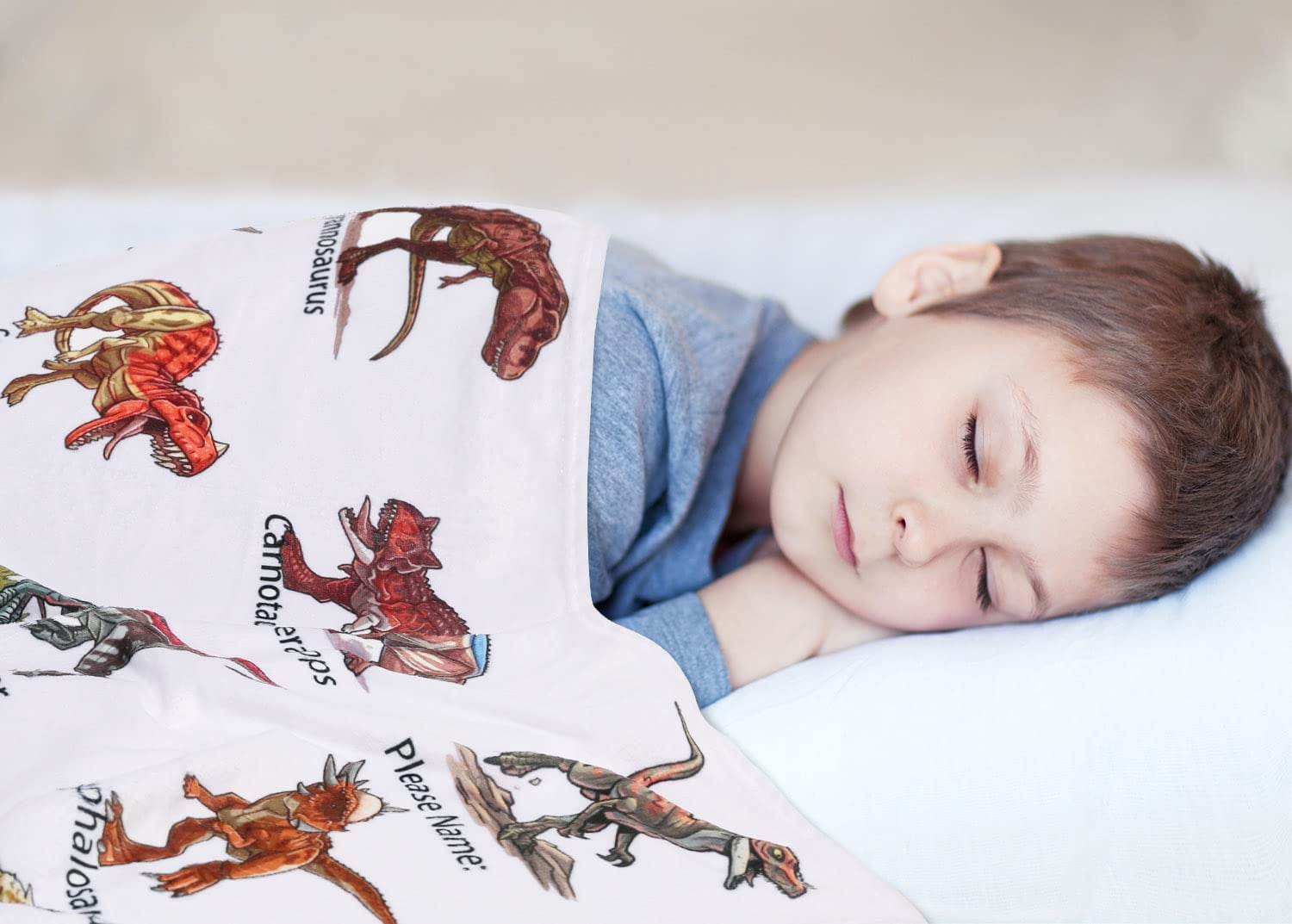 Dinosaur Blanket for Boys Teens - Jurassic Dino Park World Kids Sofa Bed Blanket - Soft Cozy Flannel Throw Blanket Funny Dinosaur Gifts for Jurrassic Dinosaur Fans 50 x 60 Inch