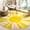 Rainbow Sun Yellow(round), variant on Boho Sun Print Area Rug - 2x3 Small Washable Rug Modern Abstract Non-Slip Area Rug Accent Distressed Throw Rugs Floor Carpet for Bedrooms Living Laundry Room entryway Rug (2'x3', Rainbow Sun)
