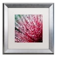 thumbnail image 2 of Trademark Fine Art "Pink Melody" Canvas Art by Beata Czyzowska Young, White Matte, Silver Frame, 2 of 4