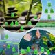 thumbnail image 3 of 220 Pcs Mini Resin Frogs Miniature Tiny Figurines Tiny Frogs for Garden Moss Landscape DIY Craft Accessories, 3 of 5