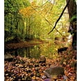 thumbnail image 3 of Ambesonne Landscape Duvet Cover Sets, Pine River in Autumn, 2-King, Green Yellow Cinnamon, 3 of 7