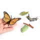 thumbnail image 3 of Realistas de Plástico de Educación Biología Juguetes Material Didáctico, 3 of 9