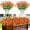 Orange, variant on 8 Bundles Artificial Flowers for Outdoors, UV Resistant Faux Silk Morning Glory with Eucalyptus Plants for Spring Home Garden Porch Patio Balcony Decoration, Fuchsia